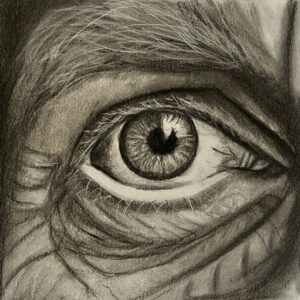 Oog met Houtskool