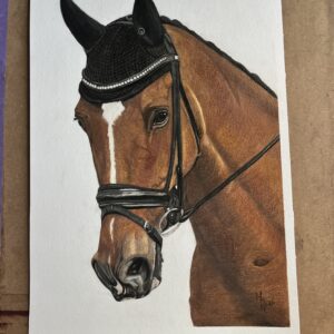Nikita's Paard